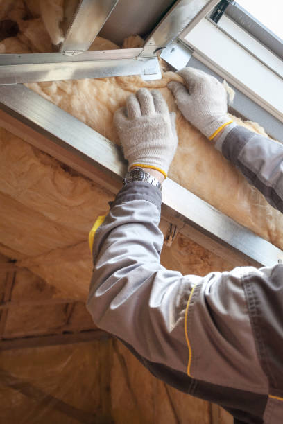 Best Attic Insulation Installation  in Killeen, TX