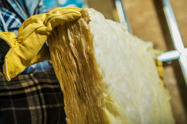 Best Professional Insulation Contractor  in Killeen, TX