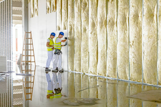 Best Blown-in Insulation  in Killeen, TX